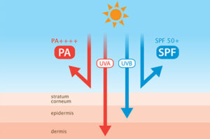 انتخاب ضدآفتاب بر اساس UVA-UVB | تراست قسطی اسنپ پی