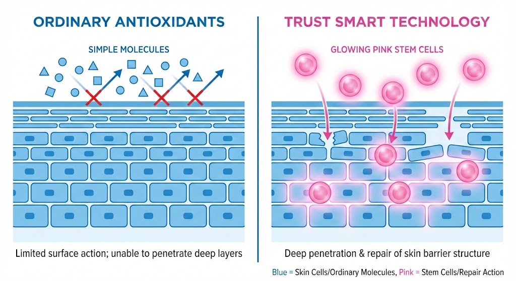 تاثیر سلول های بنیادی رز آلپ در تراست اسمارت بر سد دفاعی پوست